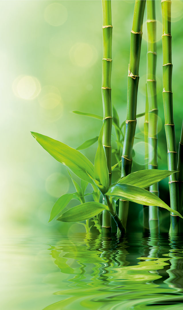 Bambus-Wasser